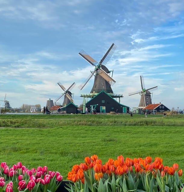 From Amsterdam; Alkmaar Cheese market & Zaanse Schans - Lunch and free time: plan around what’s not included