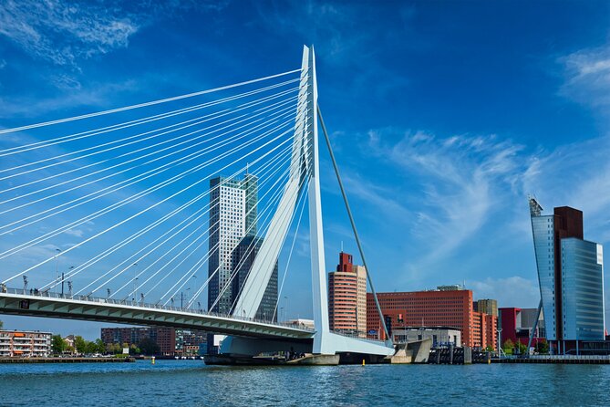 From Amsterdam: Day Trip to Rotterdam, Delft & Hague with Cruise - How much time you really get (and where it feels tight)