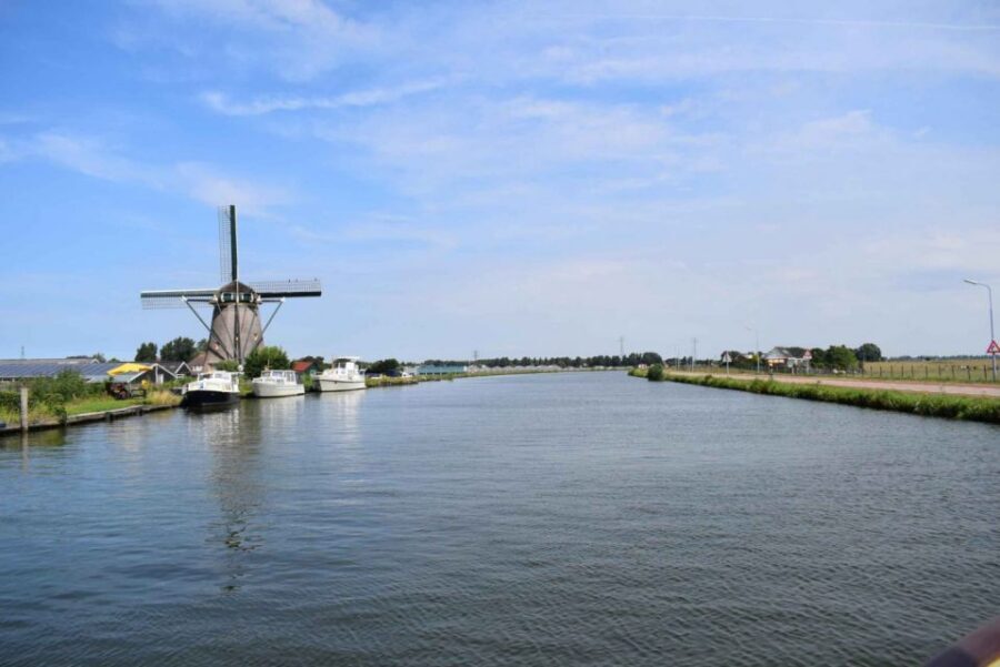 From Amsterdam: Holland Flower and Windmill Tour - summer ed - De Tulperij with Daan and Anja: dahlias, bulbs, and real farm talk