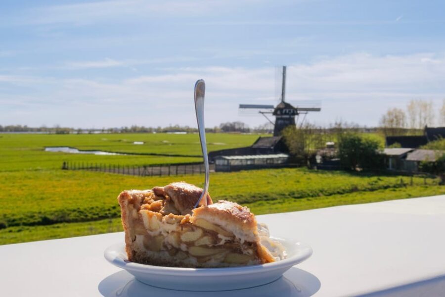 From Amsterdam: Holland Flower and Windmill Tour - summer ed - Warmond and the Kagerplassen cruise: working windmills, not props