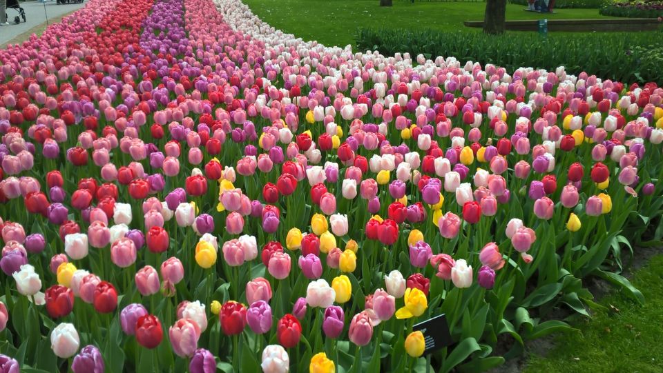 From Amsterdam: Keukenhof and Zaanse Schans Small Group Tour - Zaanse Schans: windmills and crafts in one guided loop