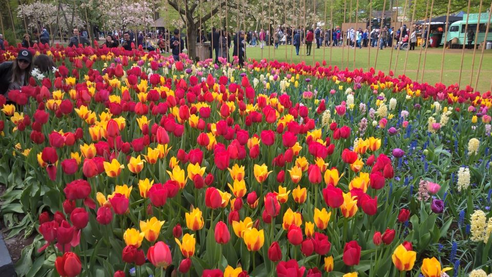 From Amsterdam: Keukenhof and Zaanse Schans Small Group Tour - Clogs and cheese: the stops that add real texture