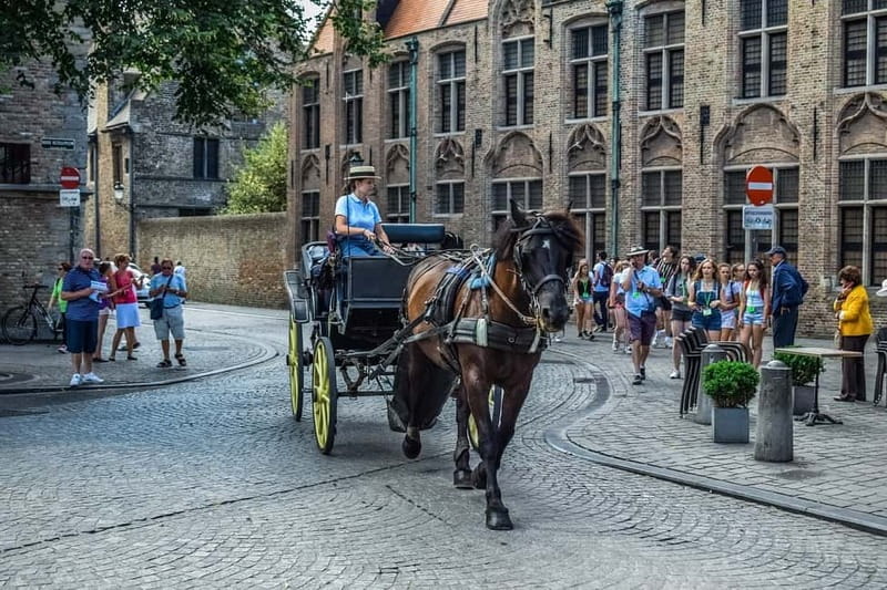 From Amsterdam: Private Sightseeing Tour to Bruges - Key Points To Know Before You Go