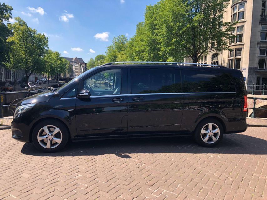 From Amsterdam: The Hague Private Trip and Mauritshuis Entry - Should you book this The Hague private trip?