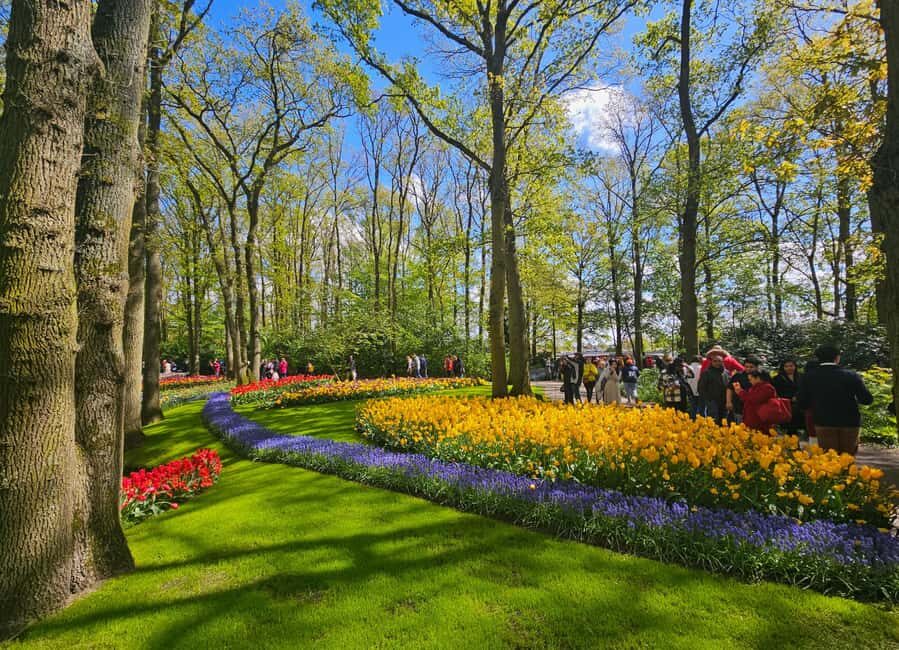 From Amsterdam: Tulip Tour Keukenhof & City Tour Delft - Price and Value: What $169 Buys You on This Day