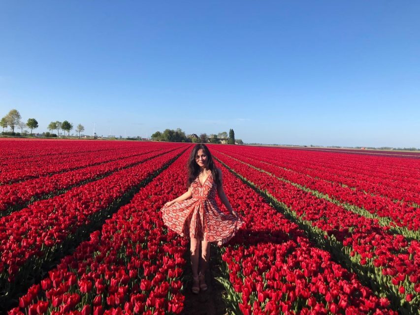 From Amsterdam: Tulip Tour Keukenhof & City Tour Delft - Delft Blue Workshop: Why the Pottery Demo Is the Best Differentiator