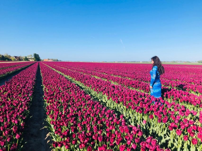 From Amsterdam: Tulip Tour Keukenhof & City Tour Delft - Meeting in Amsterdam: Easy Start, Real Time on the Clock