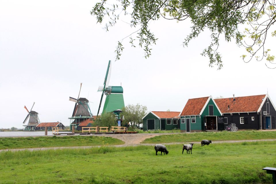 From Amsterdam: Windmills of Zaanse Schans Tour - Inside a mill: how to plan for the optional ticket