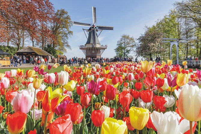 Full-Day Skip the Line Keukenhof and Canal Cruise from Amsterdam - Key highlights to know before you go