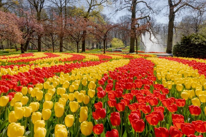 Full-Day Skip the Line Keukenhof and Canal Cruise from Amsterdam - Bus Transfer and Group Size: Comfortable, Organized, Not Perfect-World