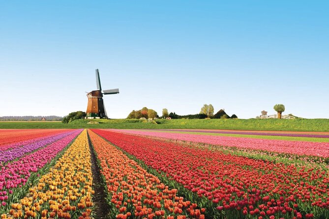 Full-Day Skip the Line Keukenhof and Canal Cruise from Amsterdam - Skip-the-Line Keukenhof: Bulbs, Photo Crowds, and What to Expect