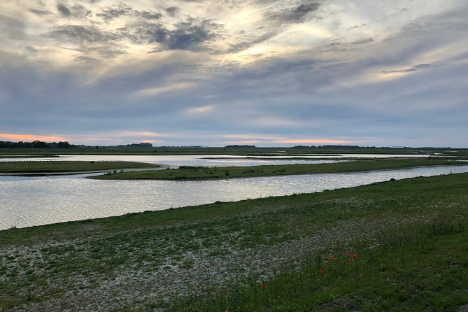 Full day tour to Texel - Friesian Islands - from Amsterdam - Timing and How the Day Actually Feels