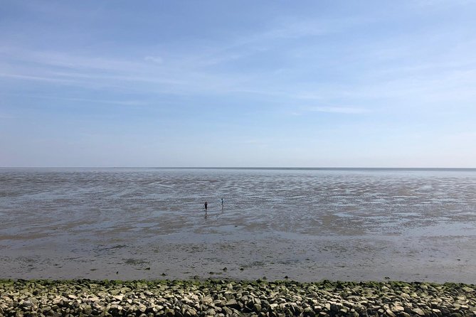 Full day tour to Texel - Friesian Islands - from Amsterdam - Price and Value: What You’re Paying For (and What You’re Not)