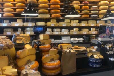 Gouda, Witches & Cheese - Private Day Tour - The drive to Gouda: polders, rivers, and less time in transit