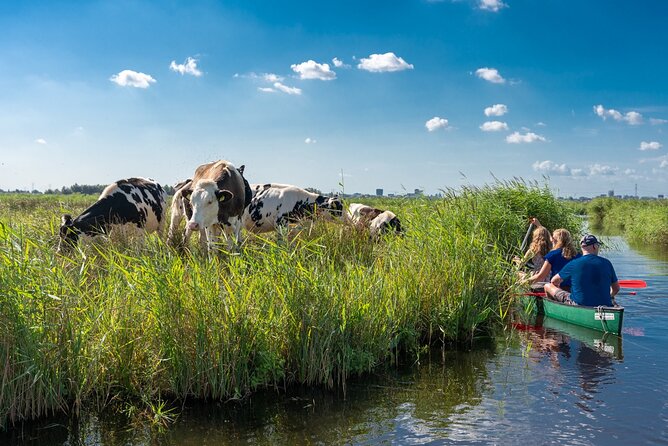 Guided Canoe Adventure with Picnic Lunch in Waterland from Amsterdam - Key things that make this canoe day stand out