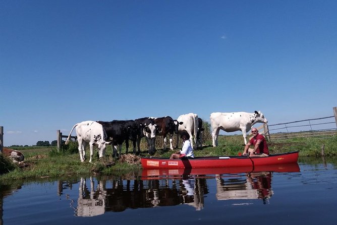 Guided Canoe Adventure with Picnic Lunch in Waterland from Amsterdam - Price and value: is $112.84 worth it?