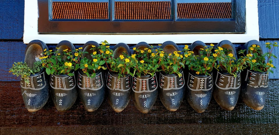 Half-Day Private Guided Sightseeing Tour of Zaanse Schans - Price and value: $212 per person for a private 4-hour circuit