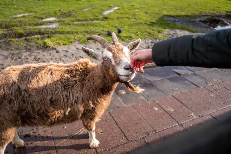Half-Day Private Guided Sightseeing Tour of Zaanse Schans - The secret stop: a guided detour that breaks up the routine