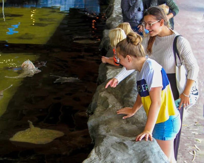 Harderwijk: Dolfinarium Entry Ticket - Four playgrounds: why they matter more than you’d think