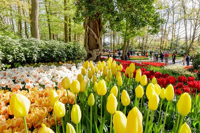 Keukenhof, Flower Fields, Volendam and Zaanse Schans Small-Group Tour - From De Ruijterkade to Keukenhof: how this day stays smooth