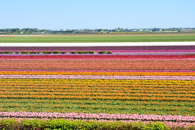 Keukenhof, Flower Fields, Volendam and Zaanse Schans Small-Group Tour - Volendam: waterfront charm, costume photos, and lunch on your terms