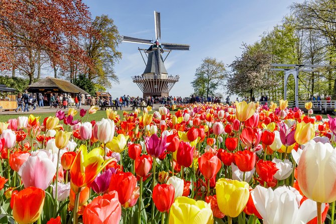 Keukenhof, Flower Fields, Volendam and Zaanse Schans Small-Group Tour - Price and value: what $40 gets you (and what it doesn’t)