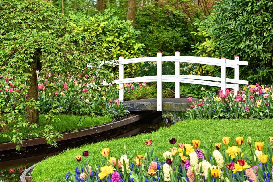 Keukenhof Gardens and Tulip Experience Tour from Amsterdam - A smart Amsterdam–Keukenhof match: small group, fixed timing