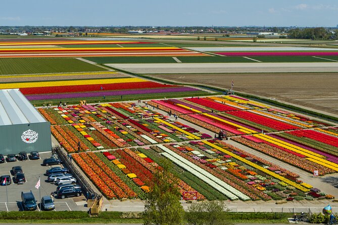 Keukenhof Gardens and Tulips Private Tour from Amsterdam - Key things to know before you go