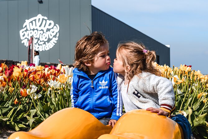Keukenhof Gardens and Tulips Private Tour from Amsterdam - Where the tour can feel short or pricey
