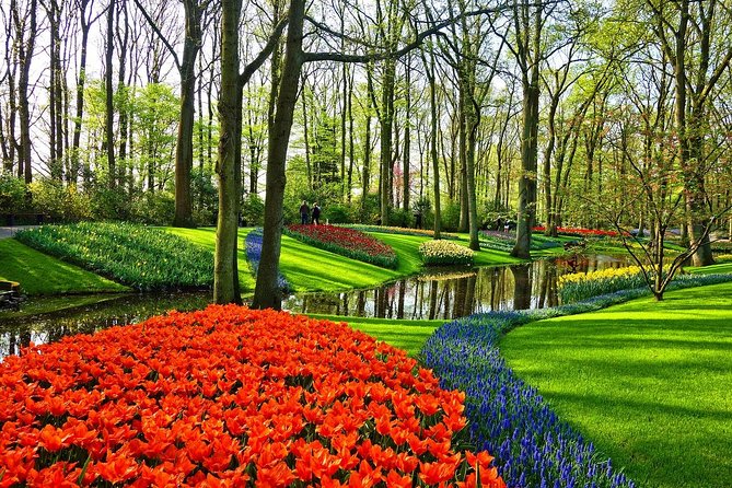 Keukenhof Gardens and Tulips Private Tour from Amsterdam - Should you book this Keukenhof and Tulips private tour from Amsterdam?