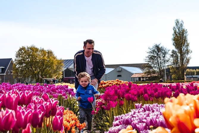 Keukenhof Gardens and Tulips Private Tour from Amsterdam - Tulip Experience Amsterdam: the story (and the photo points) come first