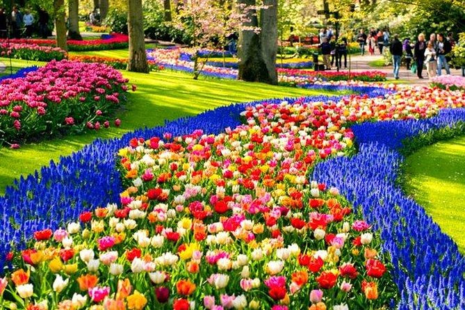 Keukenhof Skip-the-line Tickets: Countryside & Farm Private Tour - Key highlights worth knowing before you go