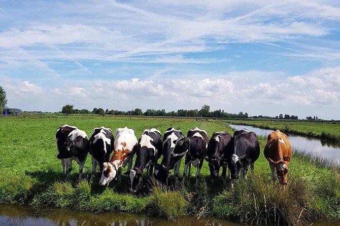 Keukenhof Skip-the-line Tickets: Countryside & Farm Private Tour - Haven Volendam: fishing-village charm and easy coastal pacing