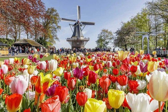 Keukenhof Skip-the-line Tickets: Countryside & Farm Private Tour - How the private guide experience can shape the day