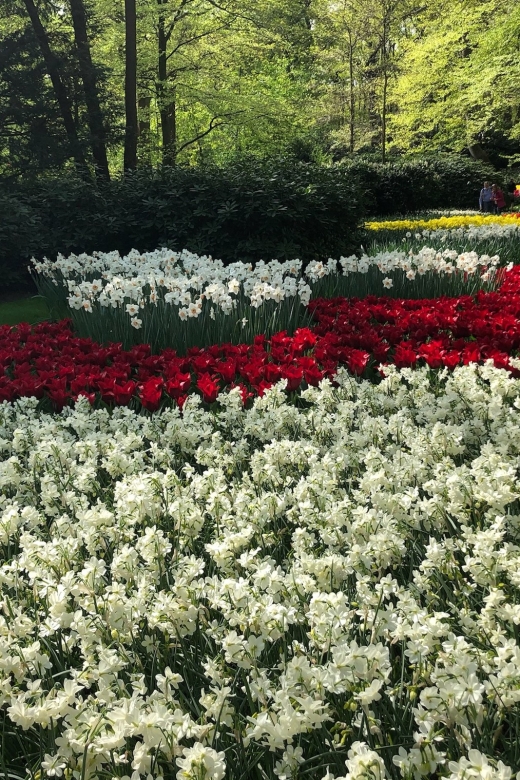 Keukenhof, Tulip Farm, Flower Fields & Windmills - Key Highlights You’ll Feel Right Away