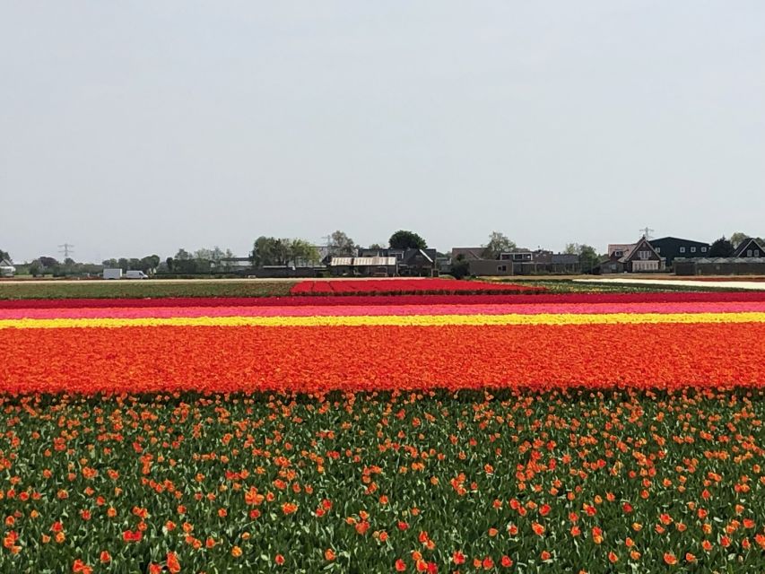 Keukenhof, Tulip Farm, Flower Fields & Windmills - The Private-Guide Advantage: Tight Scheduling, No Rushing, Real Guidance