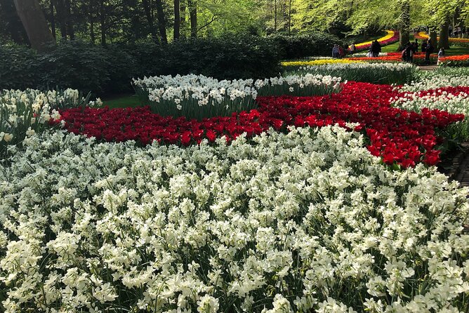 Keukenhof, Tulip Farm, Flower Fields & Zaanse Schans Windmills - Keukenhof Gardens: A Guided Spark, Then Real Free Time