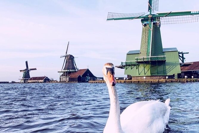 Keukenhof, Tulip Farm, Flower Fields & Zaanse Schans Windmills - Driver-Guide Energy: When Steven-Branded Warmth Shows Up