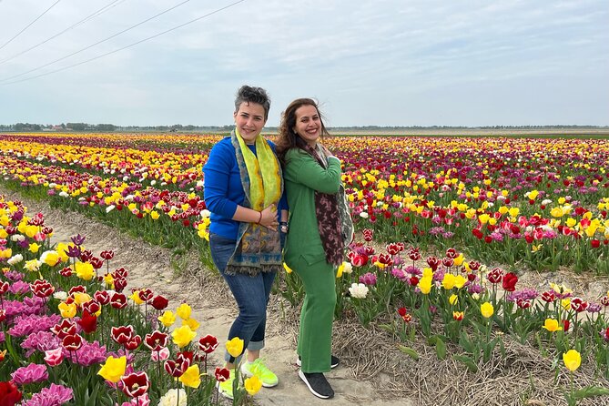 Keukenhof, Tulip Farm, Flower Fields & Zaanse Schans Windmills - Should You Book Keukenhof, Flower Fields & Zaanse Schans?
