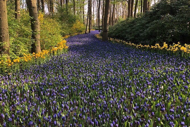 Keukenhof, Tulip Farm, Flower Fields & Zaanse Schans Windmills - Flower Fields Photo Stops: Where You Get Off the Bus