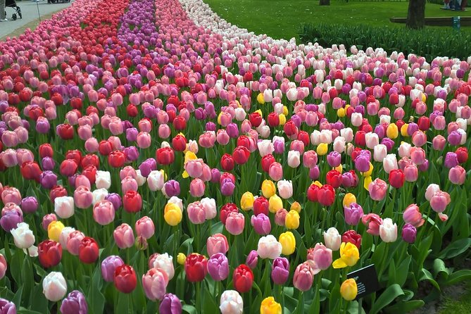 Keukenhof, Zaanse Schans Windmills Private Tour with Lunch - Price and Logistics: What $360.44 per person really covers