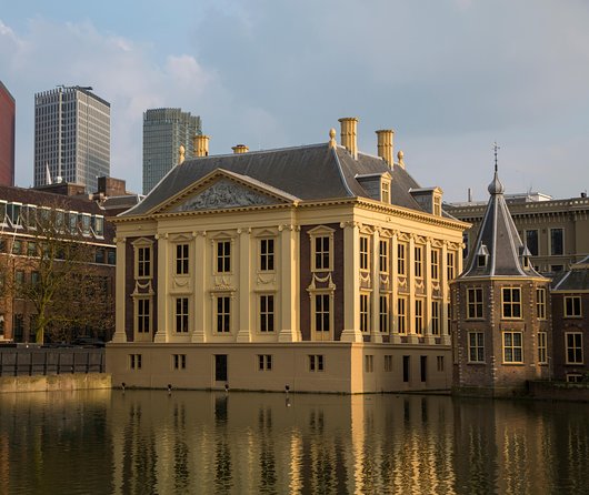 Kinderdijk, The Hague, Mauritshuis Private Tour from Amsterdam - Who this tour suits best