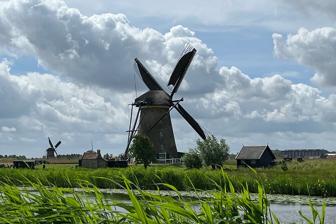 Kinderdijk Windmills, Delft City & Delft Blue Factory Visit - Who this tour is best for