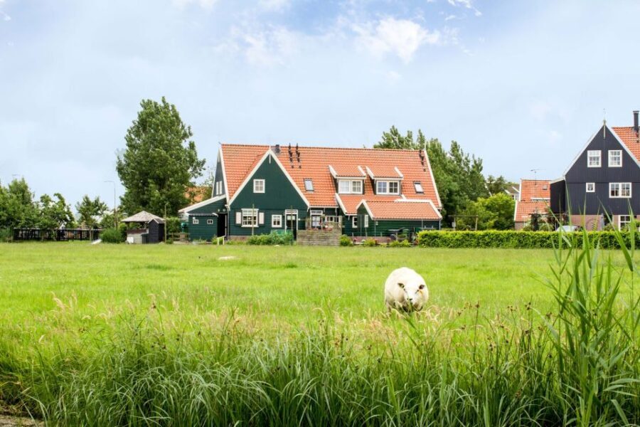 Marken, Volendam and Edam: Private Full-Day Tour - Volendam’s Fishing Village Walk, Fish Auction Building, and Cheese Time