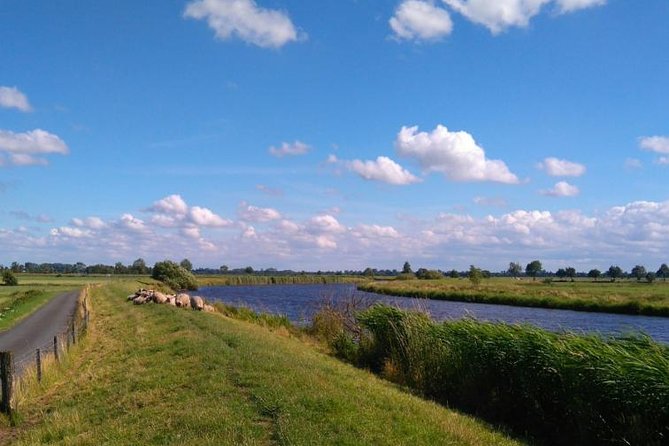 Off the beaten paths Dutch Country Side Private Tour in Jaguar - Waterland: birds, water, and small roads for about an hour