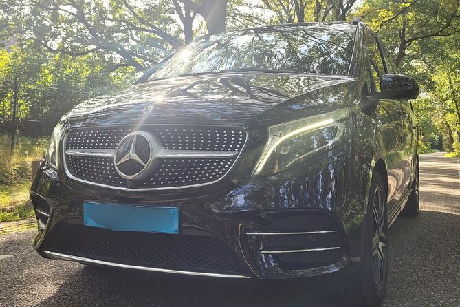 Private Arrival Transfer: Schiphol Airport Amsterdam - Schiphol Meet-and-Greet: Finding Your Driver Fast