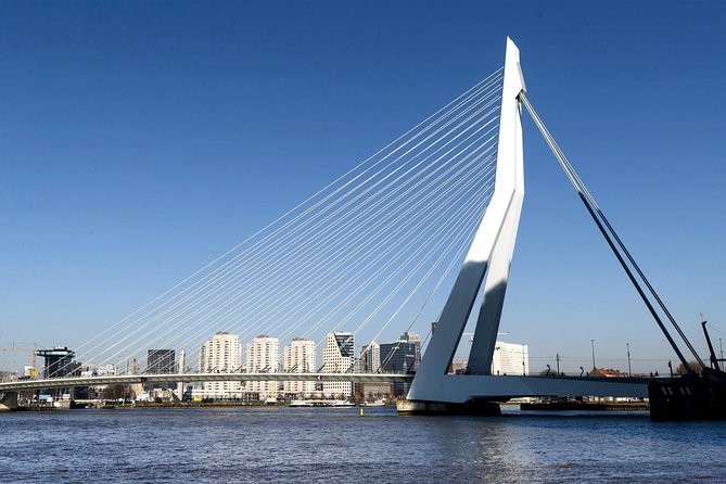 Private Day Tour: Rotterdam, Delft & The Hague From Amsterdam - Pickup, private comfort, and the driver’s role