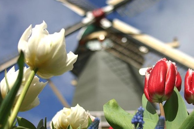 Private Day Tour to Keukenhof Gardens - from Amsterdam/Rotterdam - South Holland Countryside First: Your Guided Setup Time