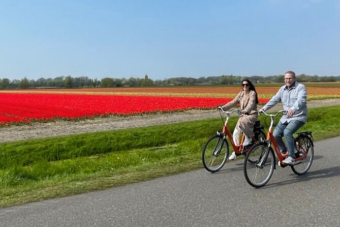 Private Day Tour to Keukenhof Gardens - from Amsterdam/Rotterdam - Inside Keukenhof: Guided Highlights Then Real Freedom