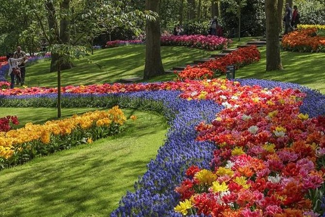 Private Day Tour to Keukenhof Gardens - from Amsterdam/Rotterdam - What to Expect From the Logistics (Without the Headaches)